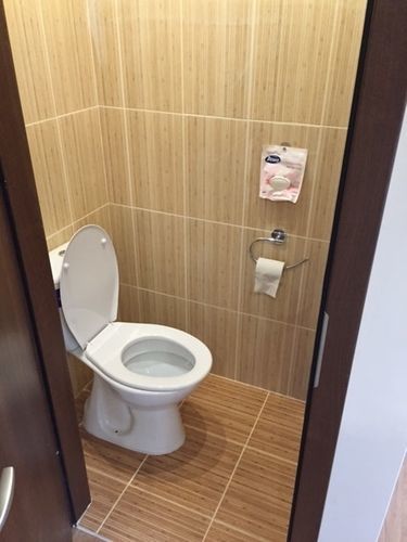 Silver Garden שיופוק
